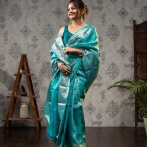 Kanchivaram Pure Brocade Silk Saree - Blue Copper Sulphate with Silver zari