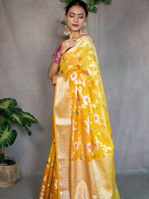 Banarasi Semi Georgette