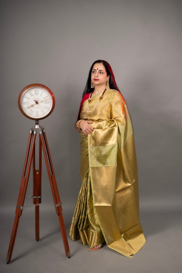 Banarasi Organza Jaal weaving saree