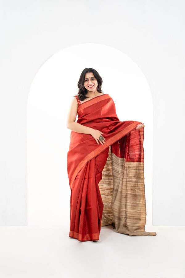 Malwari Katiya Dupian Tussar Silk-Maroon and Beige