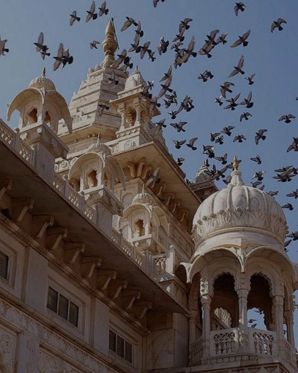 Instagram post from aaosakhiofficial. This post is in position 2.