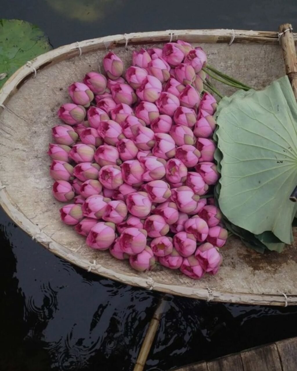 Instagram post from aaosakhiofficial. This post is in position 5.